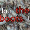 Shrimp Boot Lickers Sticker - Image 2